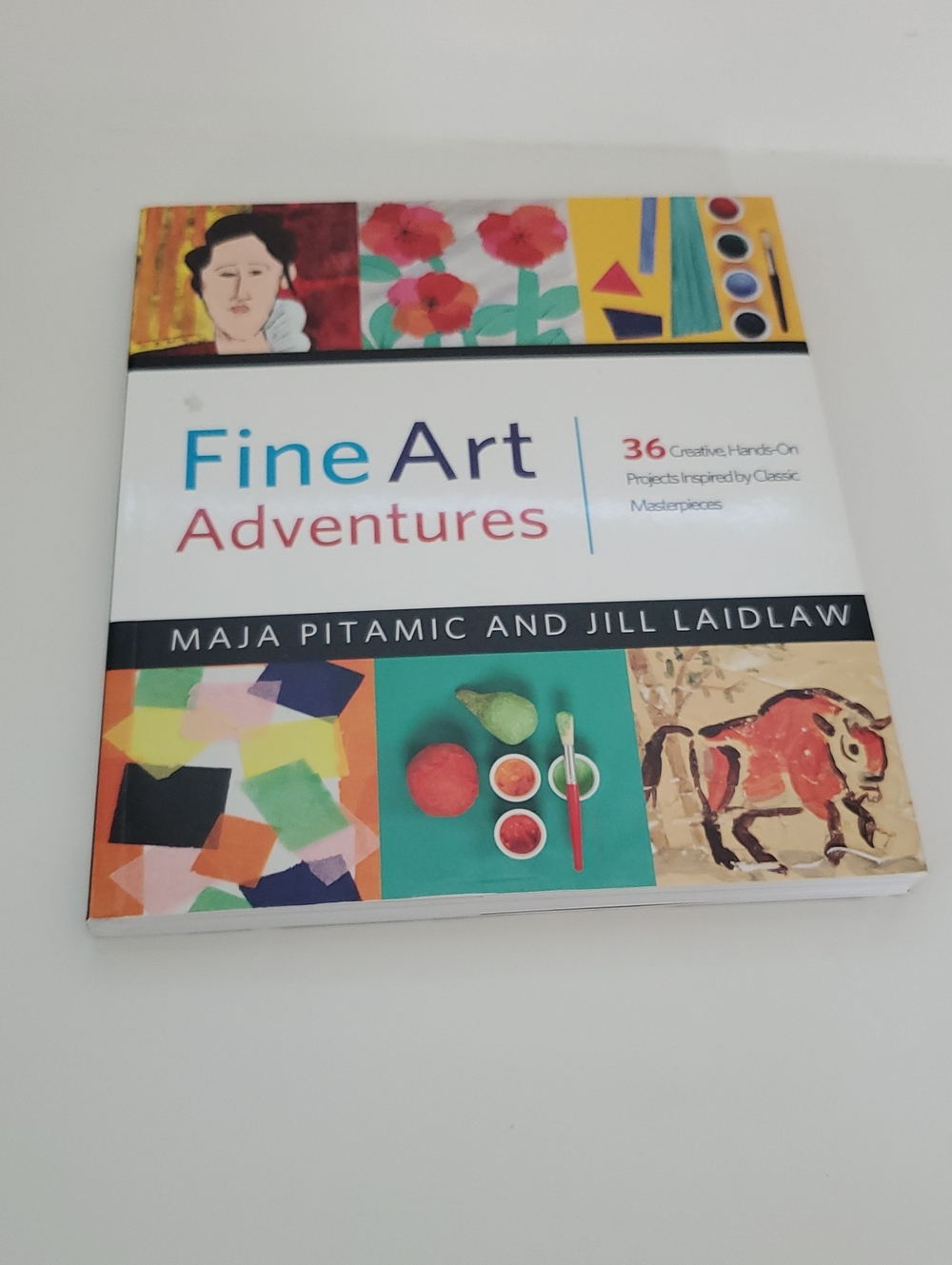 Fine Art Adventures - Maja Pitamic And Jill Laidlaw Paperback Preowned